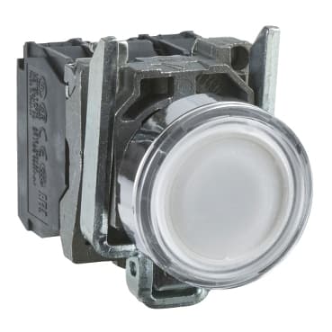 schneider XB4BW11G5