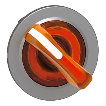 schneider ZB4FK1253 schneider ZB4FK1253